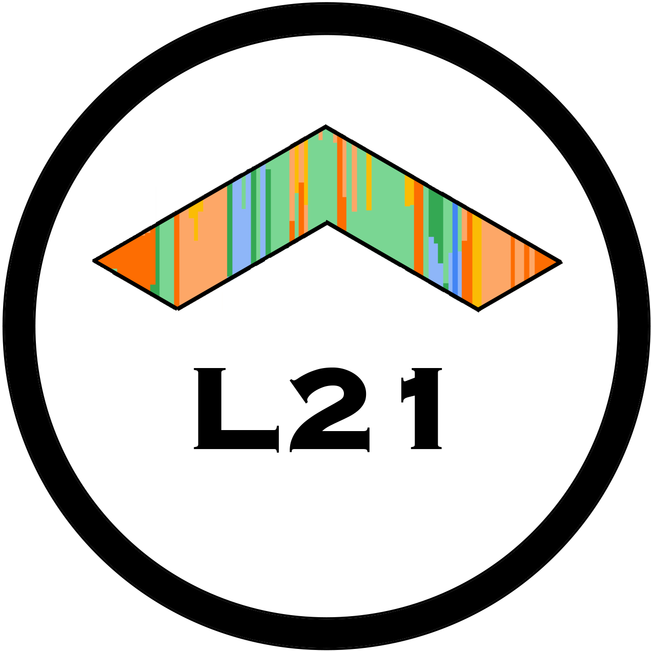 L21 strategy