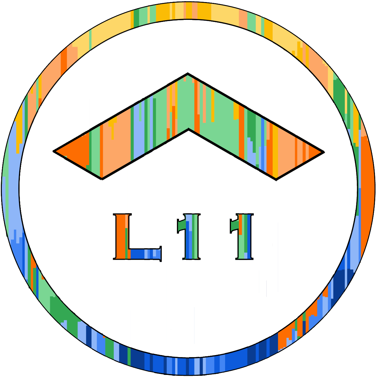L11 strategy