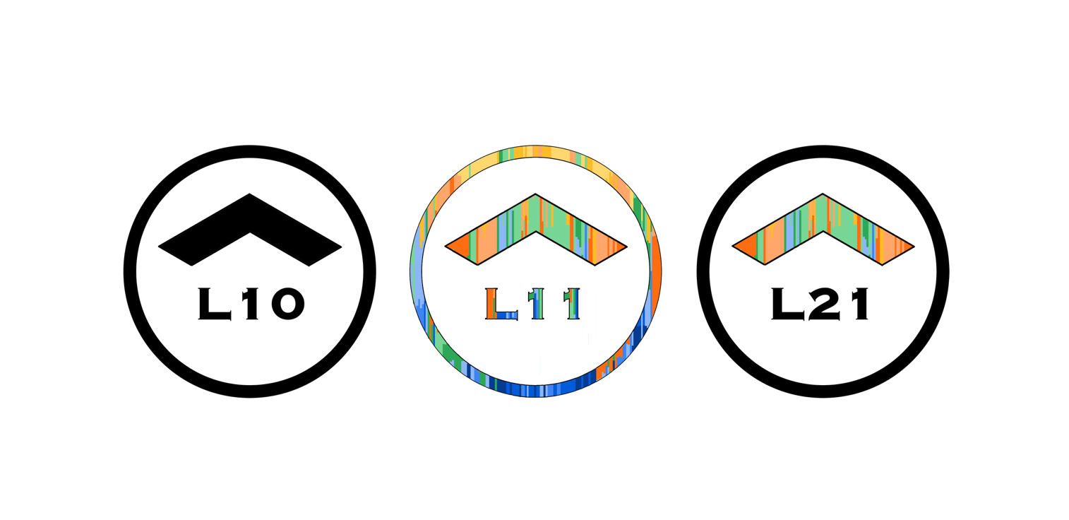 L10 L11 L21 Circles